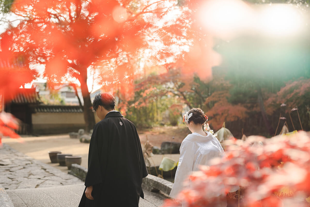 PHOTOGRAPHER -okayama-/kaneda[okayama/Japan]