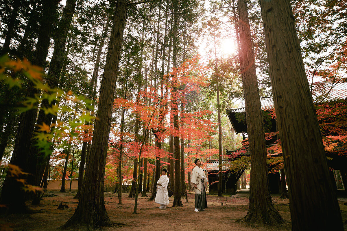 PHOTOGRAPHER -okayama-/shiraga[okayama/Japan]