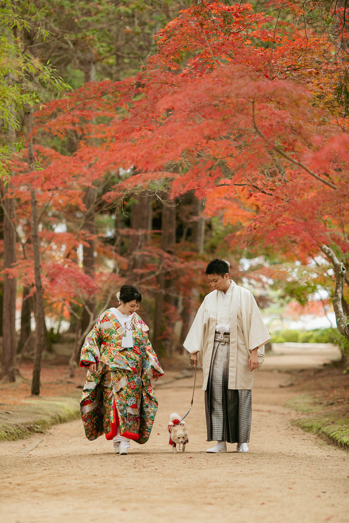 PHOTOGRAPHER -okayama-/shiraga[okayama/Japan]