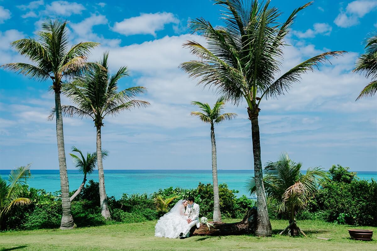 PHOTOGRAPHER -Okinawa-/ANZAI[Okinawa/Japan]