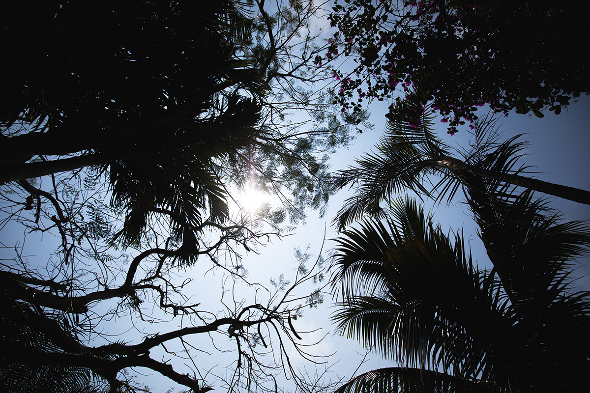 PHOTOGRAPHER -Okinawa-/to-ma[Okinawa/Japan]