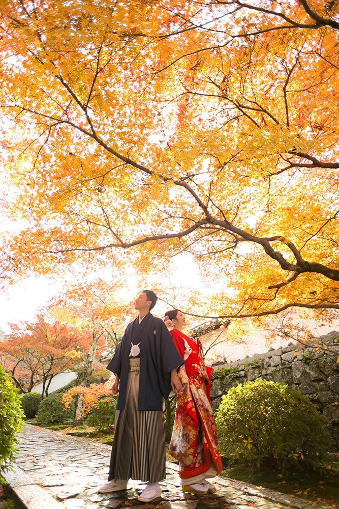 [SPRING] Kyoto