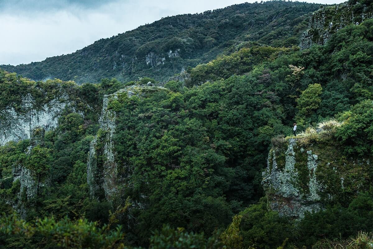 [AUTUMN] Shodoshima